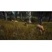 Way of the Hunter (PS5), 114866, Приключения/экшен